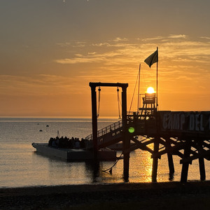 Fundraising Page: Grads